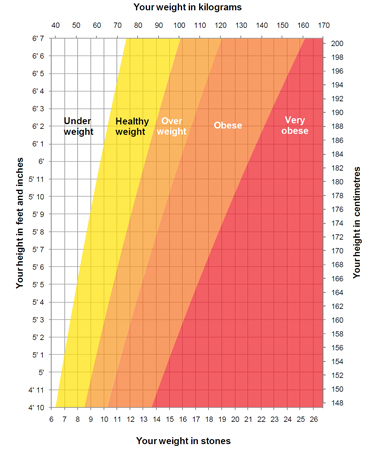 Lat Pulldown Weight Chart